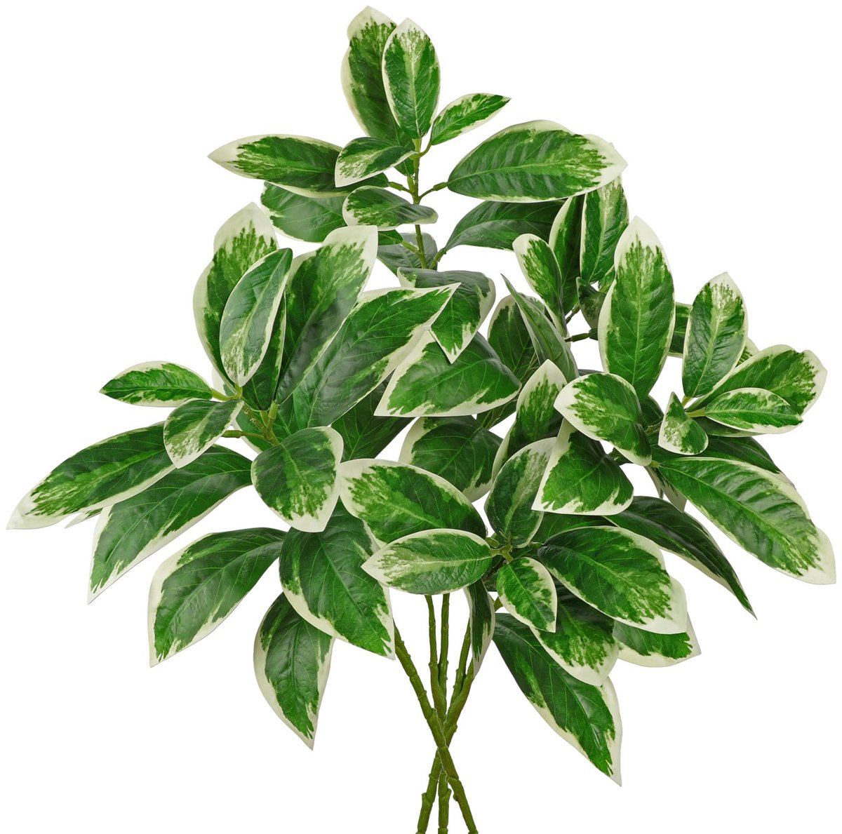 Dailygoods - Kunstmatige Ficus Takken voor Vaas - Realistisch Groene Decoratie