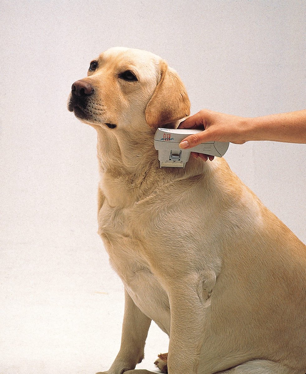 SnelShoppen - Elektronische Vlooienkam Zapper - Elektrische Vlooienverdelger voor Katten en Honden - Veilig voor Huisdieren - Detecteert en Doodt Vloo