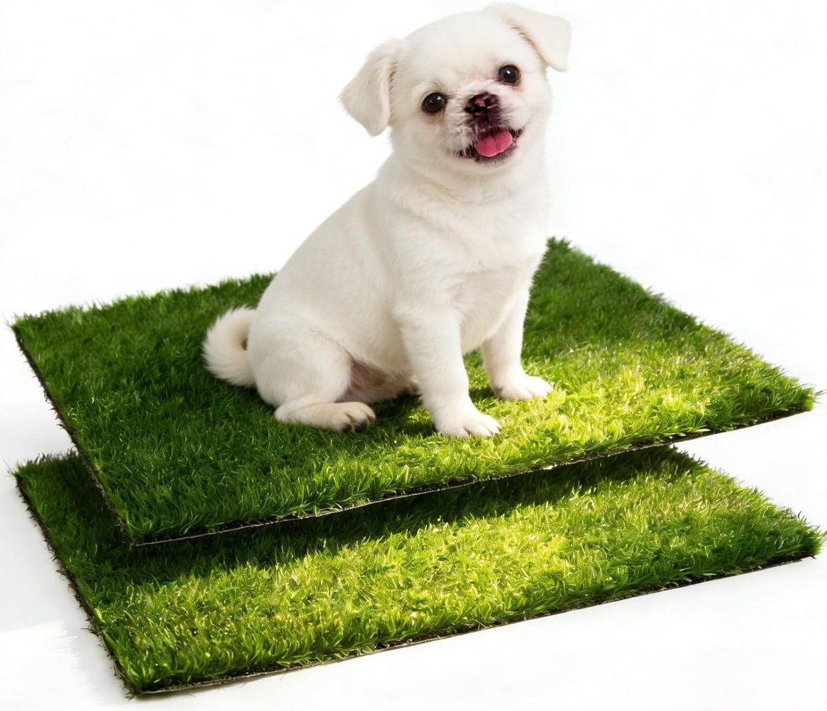 Dog Toilet, Puppy Toilet, 2 Pieces, Reusable Dog Toilet Replacement for Home Lawn, Training Pee Pads, Applicable - ShopVlot