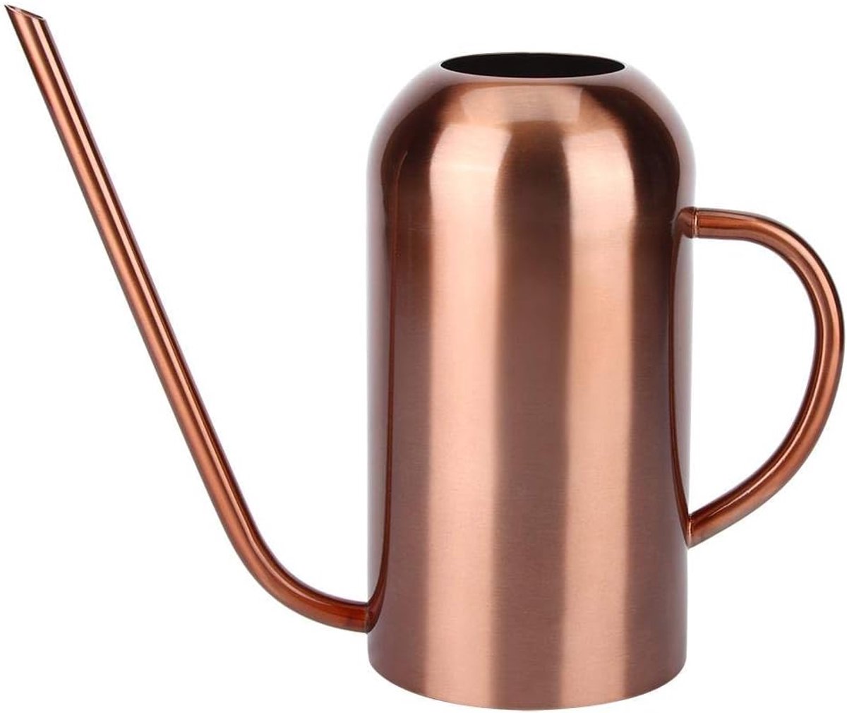 SnelShoppen - 1.5L RVS Gieter voor Binnen voor Kinderen - Ideaal voor Thuis, Bureau, Kantoorplanten, Bonsai, Lange Tuit, Tuin, Bloemen, Plantenverzorg