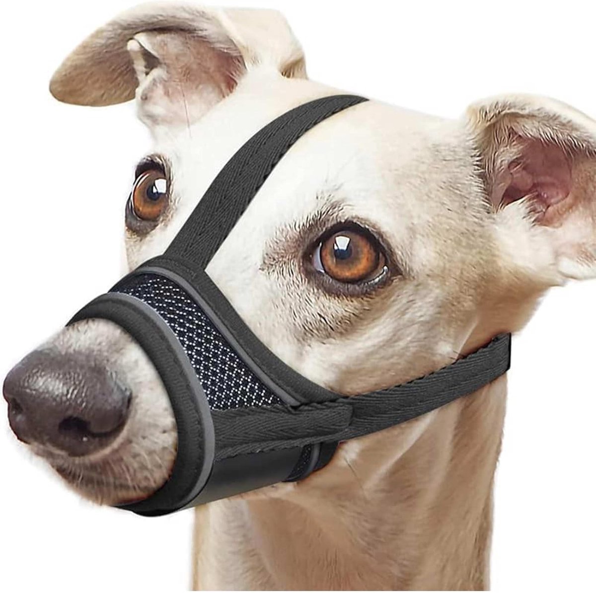 SnelShoppen - 1 Stuk Hondentuig, Zachte Muilkorf voor Kleine Honden, Ademend Netmateriaal met Reflecterende en Verstelbare Band voor Bijten, Kauw en B