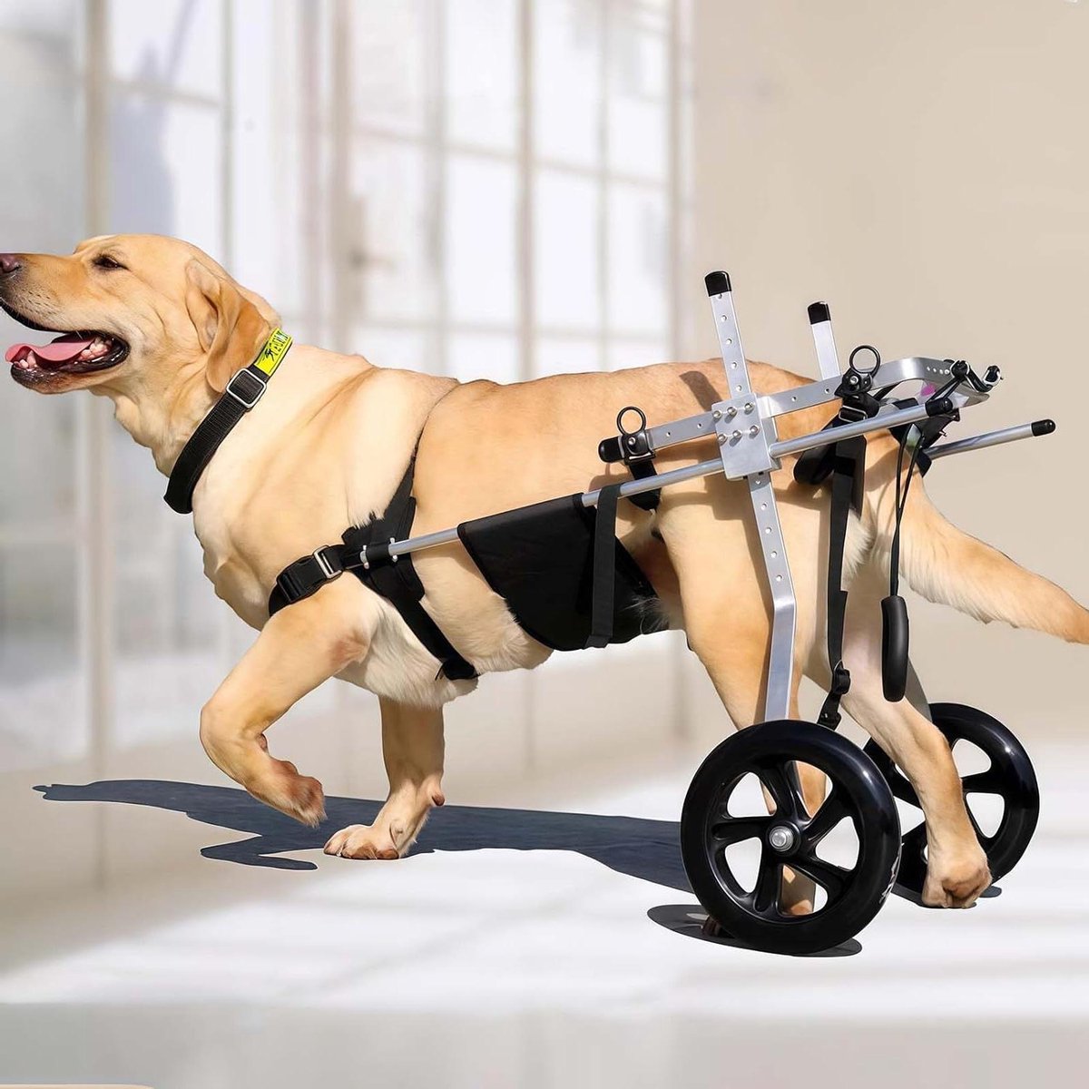 Hondenrolstoel Achterpoten - Mobiliteitshulp Hond - Hond Lopen Ondersteunen - Verstelbare Aluminium Frame - Verkrijgbaar in 5 maten - Zilver