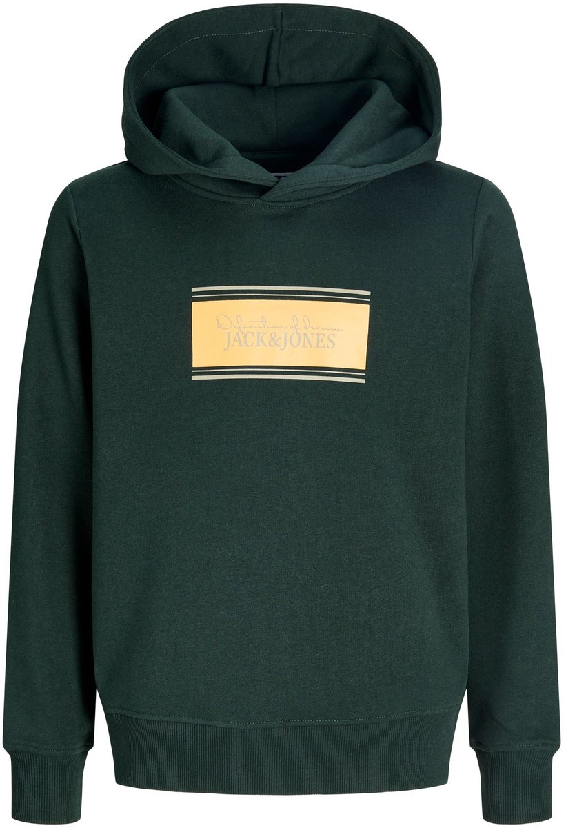 Jack & Jones Junior Hoodie Hoodie Boys