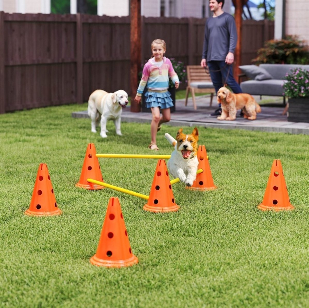 REDOM - Honden agility set - 3 horden - Verstelbare hoogte - Opbergtas - ABS - Oranje - 80 x 22,5 x 30 cm - 6 kegels