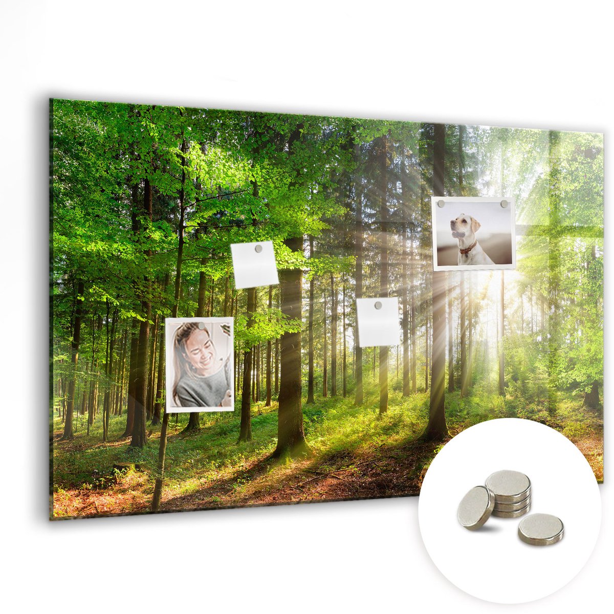 Coloray Glazen Magneetbord - Magnetisch Bord Japanse bouw - 90x60 cm - Groente Magneetbord - Magnetic Board - Bureau Decoratie