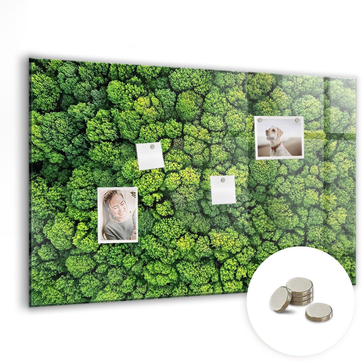 Coloray Glazen Magneetbord - Magnetisch Bord Wijnkurken - 90x60 cm - Groente Magneetbord - Magnetic Board - Keuken Decoratie