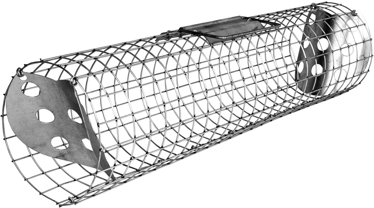 Live trap dierenval konijnenval buisval verplaatsing marterval 60 x 15 cm regengoot marter konijnenval buis metaal verplaatsing petigi