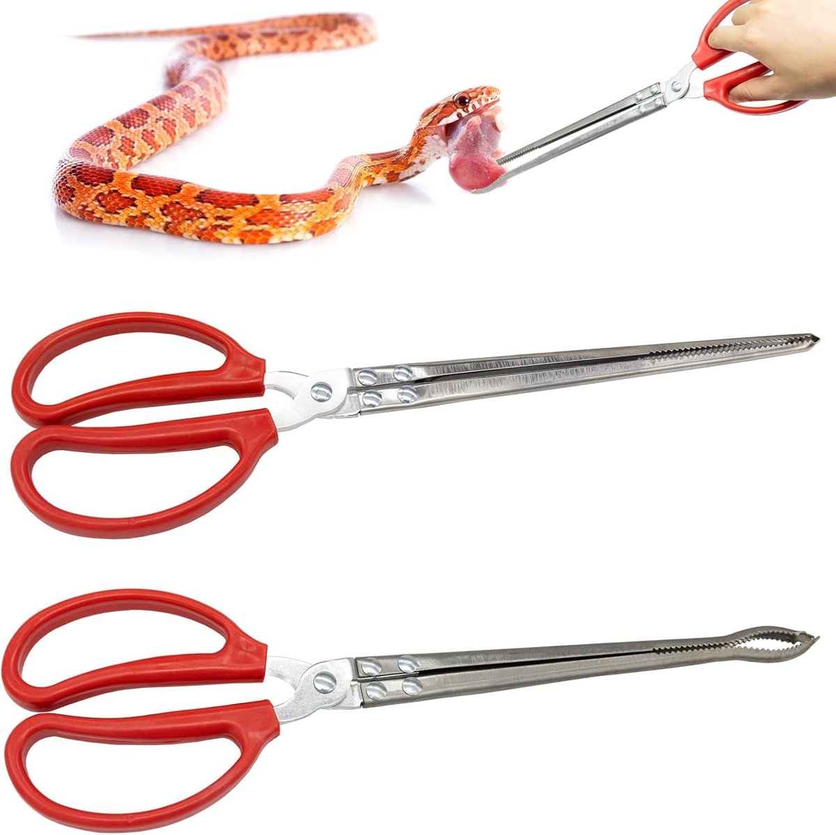 SnelShoppen - 2 Pack Reptielen Voeder Tong - 38cm Lange RVS Tangen - Rechte en Gebogen Varianten - Antislip Voor Slangen en Hagedissen - Reptiel Tank