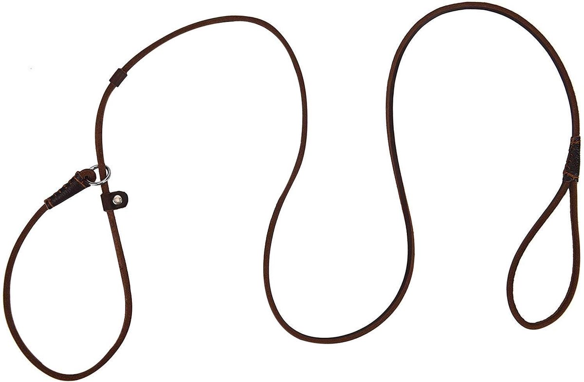 SnelShoppen - Echt leren hondenriem voor kleine en middelgrote honden, verstelbaar, lichtgewicht, dun maar stevig, bruin, 160 cm lang, ideaal voor pup