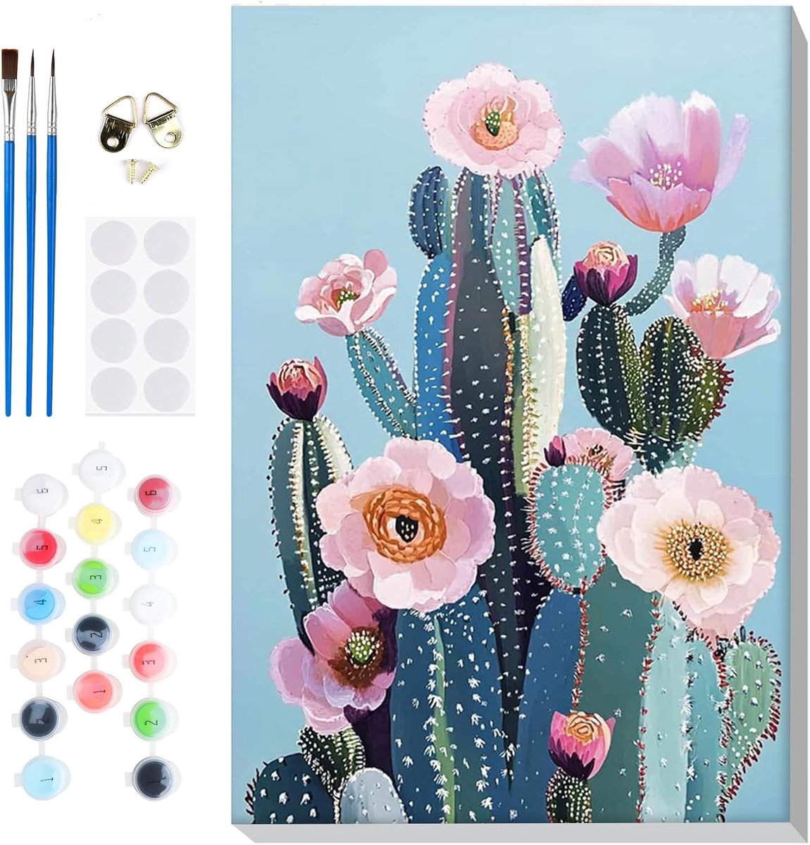 SnelShoppen - Schilderen op Nummer Cactus Volwassenen met Frame - DIY Set met Penselen en Acrylverf - Handgeschilderd Olieverfschilderij Canvas voor W