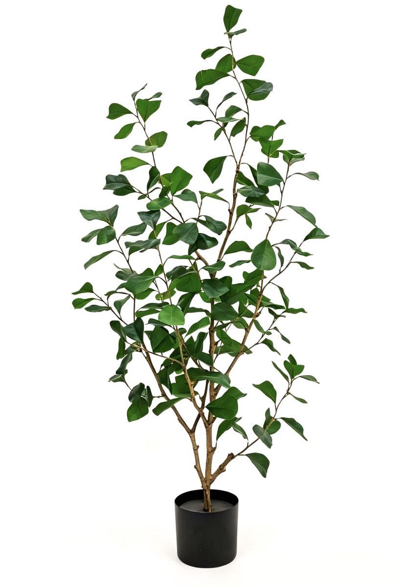 Ficus Triangularis Kunstplant 120cm | Hoogwaardige kunstplanten | Ficus Nepplant