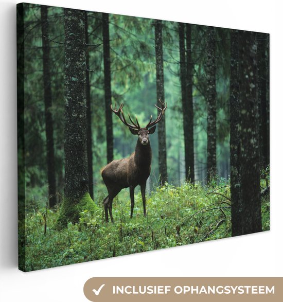 Canvas Schilderij Hert - Bos - Bomen - Dieren - Natuur - 40x30 cm - Wanddecoratie