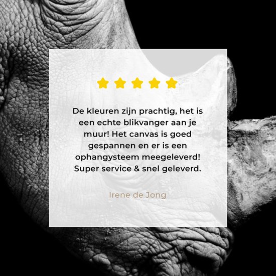 Peintures sur toile - Portrait photo rhinocéros sur fond noir en noir et blanc - 60x40 cm - Décoration murale