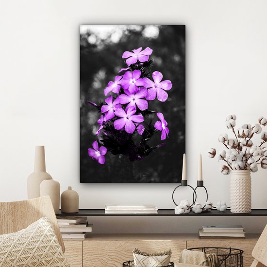 Peintures sur Toile Fleurs - Violet - Zwart - Wit - 40x60 cm - Décoration murale
