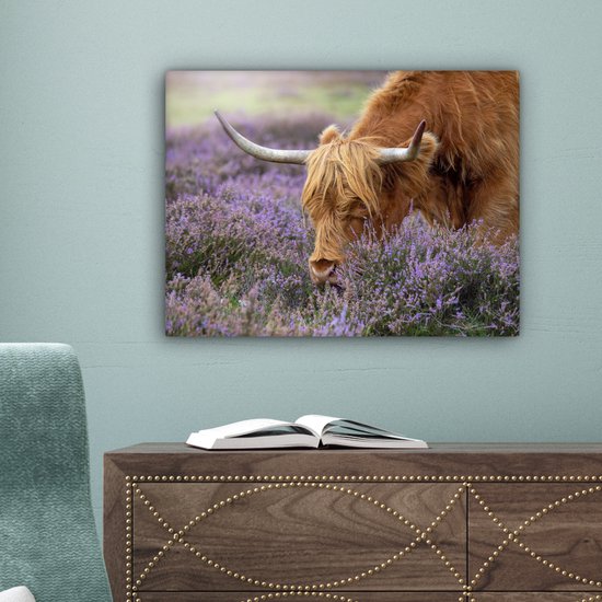 Tableau sur toile Scottish Highlander - Animaux - Bruyère - 40x30 cm - Décoration murale