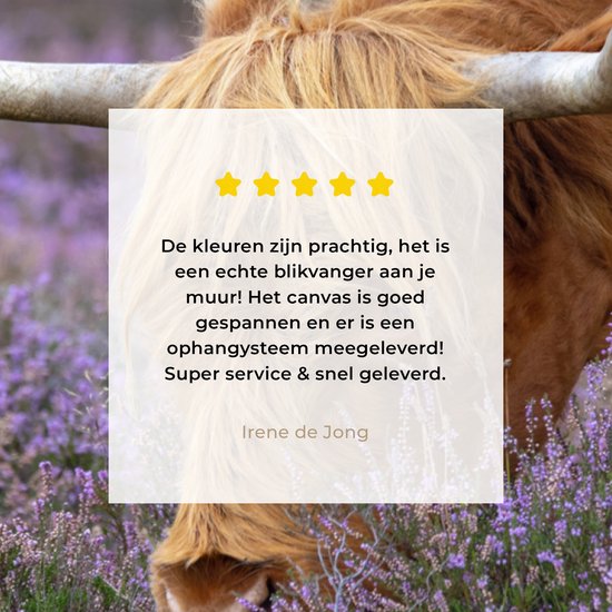 Tableau sur toile Scottish Highlander - Animaux - Bruyère - 40x30 cm - Décoration murale