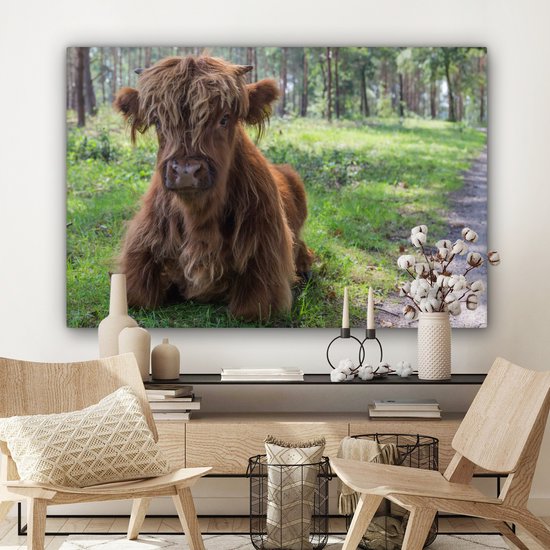 Tableau sur Toile Scottish Highlander - Crapaud - Animaux - 120x80 cm - Décoration murale