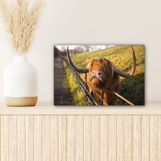 Peinture sur toile Highlander écossais - Clôture - Herbe - 30x20 cm - Décoration murale