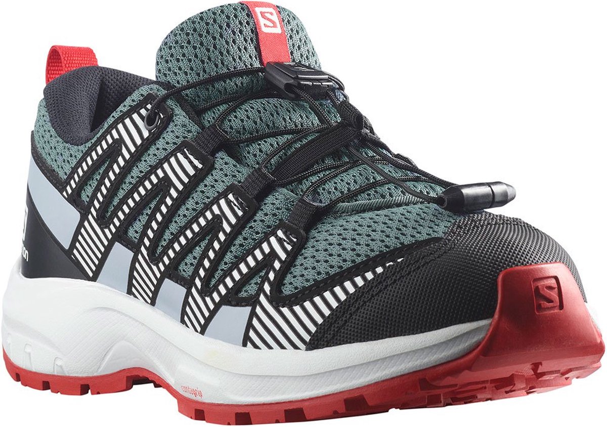 Salomon Xa Pro V8 Wandelschoenen Grijs EU 39