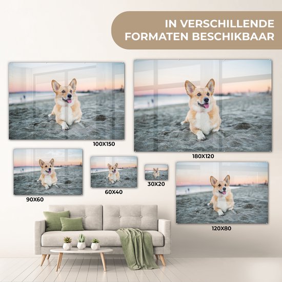 Chien sur la plage en Glas 60x40 cm - Tirage photo sur Glas (décoration murale en plexiglas)