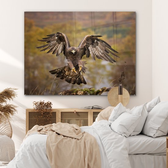 Atterrissage aigle royal aux ailes courbes Plexiglas 160x120 cm - Tirage photo sur Glas (décoration murale plexiglas) XXL / Groot format!