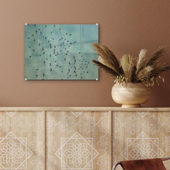 MuchoWow® Peinture sur verre 40x30 cm - Peinture sur verre acrylique - Vue de dessus des oiseaux au-dessus de la mer - Photo sur verre - Peintures