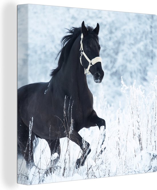 Canvas Schilderij Paard - Sneeuw - Winter - 50x50 cm - Wanddecoratie
