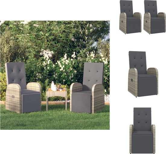 VidaXL - Buiten - Zwart - Set van 2 - Zithoeken Stoelen