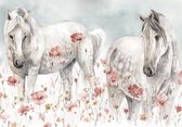 Fotobehang - Paarden - Bloemen - Dieren - Pastel - Natuur - Wit - Vliesbehang - 152x104cm (lxb)