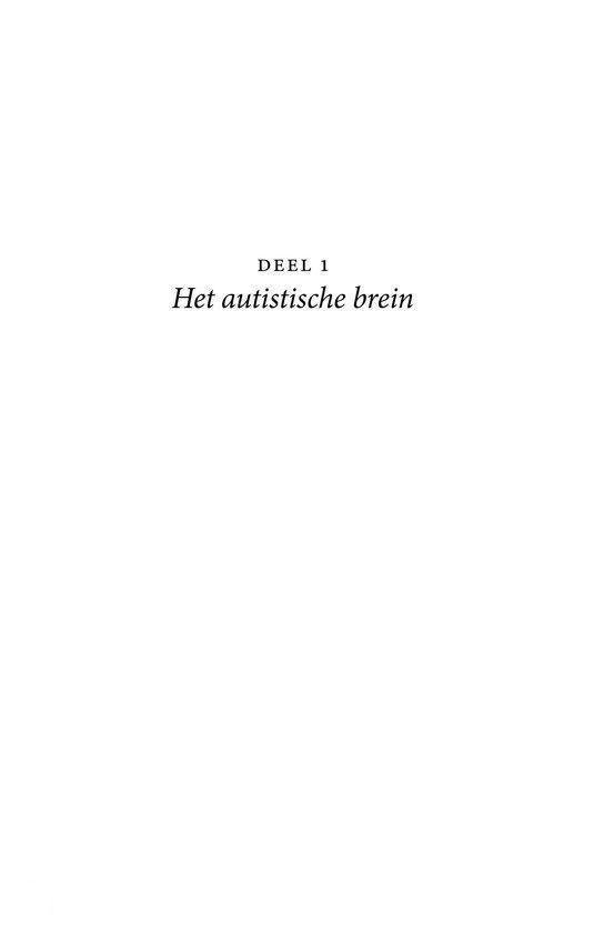 Het autistische brein