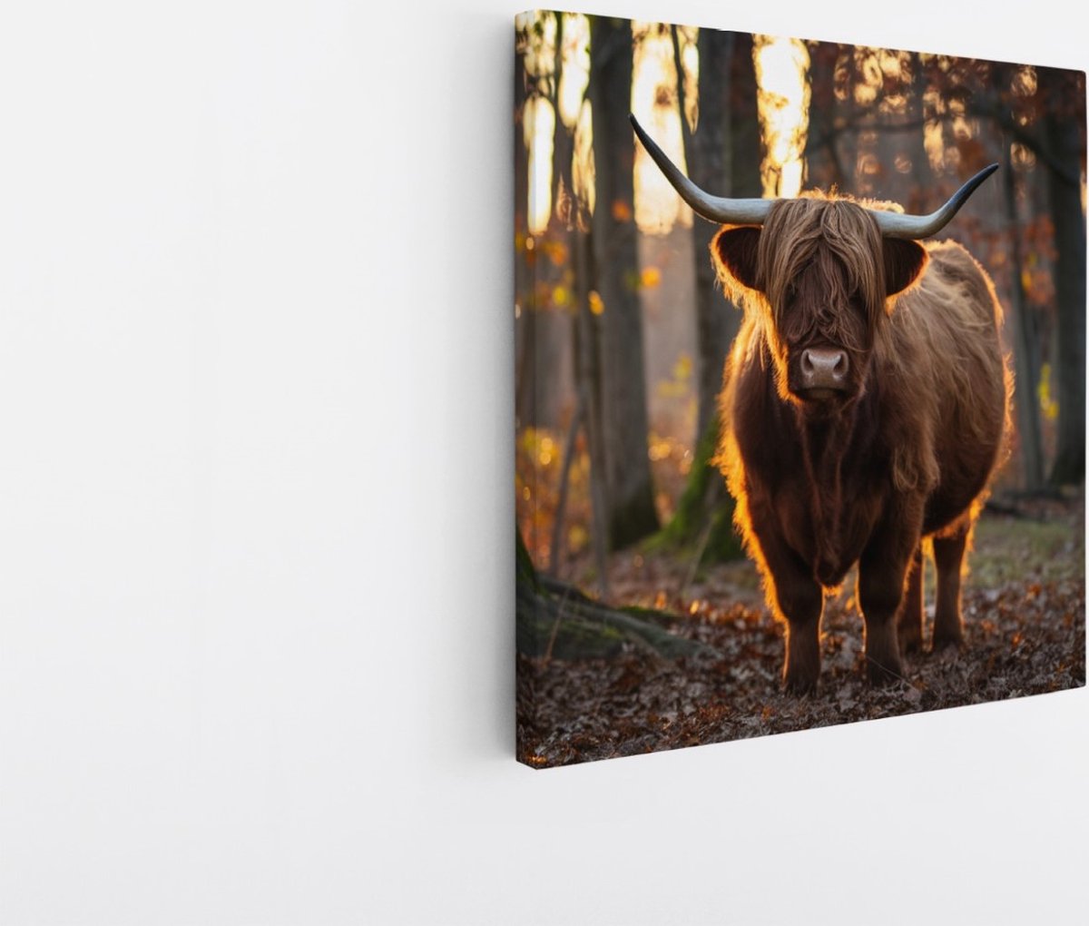 Saammp Canvas Schilderij - Schotse Hooglander Koe in een bos - Dieren - Portret - 100x100 - Foto op canvas - Wanddecoratie - muurdecoratie Woonkamer - Slaapkamer decoratie - Canvas Print Multicolor