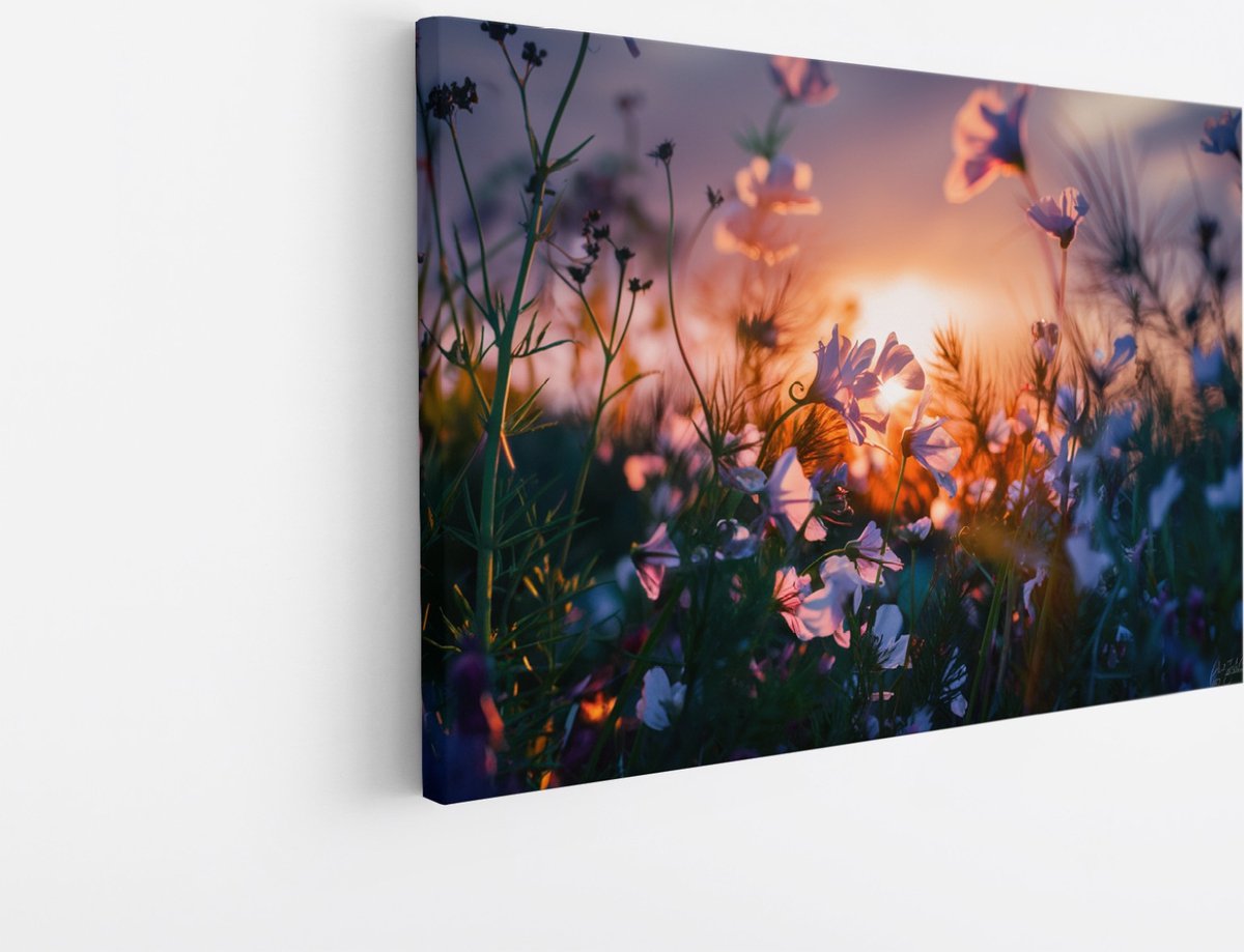 Saammp Canvas Schilderij - Landschap - Bloemen met zonsondergang - Natuur - 45x30 - Foto op canvas - Wanddecoratie - Muurdecoratie Woonkamer - Slaapkamer decoratie - Canvas Print Multicolor