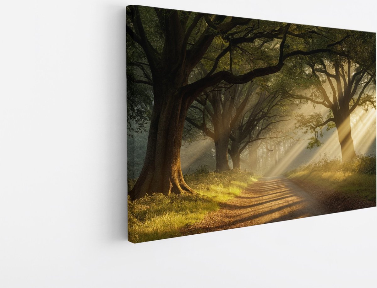 Saammp Canvas Schilderij - Landschap - Zonneschijn op een pad tussen de bomen - Natuur - 45x30 - Foto op canvas - Wanddecoratie - Muurdecoratie Woonkamer - Slaapkamer decoratie - Canvas Print Multicolor