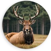 Saammp Muurcirkel Hout - hert in de wei - Natuur - Dieren - Ø 60 - Wandcirkel - Wanddecoratie Cirkel - Muurdecoratie Woonkamer - Slaapkamer decoratie - Rond Schilderij