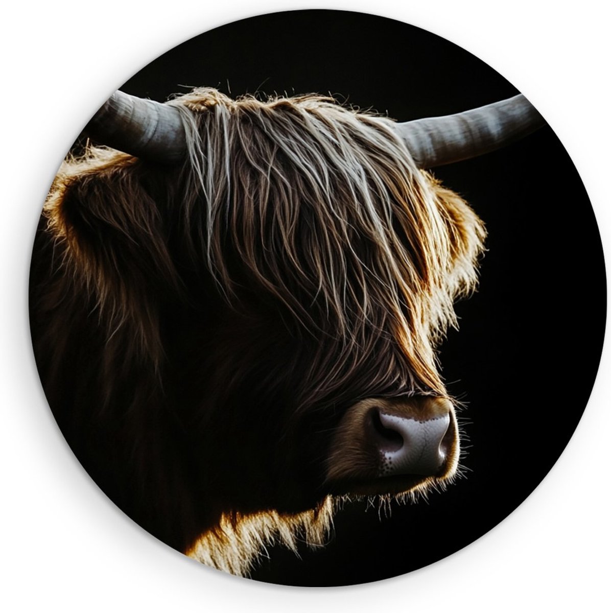 Saammp Forex Muurcirkel Schotse Hooglander Koe tussen de rode bloemen - Dieren - Natuur - Ø 40 - Wandcirkel - Wanddecoratie Cirkel - muurdecoratie Woonkamer - Slaapkamer decoratie - Rond Schilderij