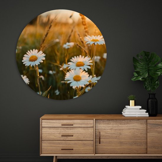 Saammp Cercle Mural Bois - Nature - Marguerite - paysage - Ø 30 - Cercle Mural - Décoration murale Décoration murale Salon - Décoration Chambre - Tableau Rond