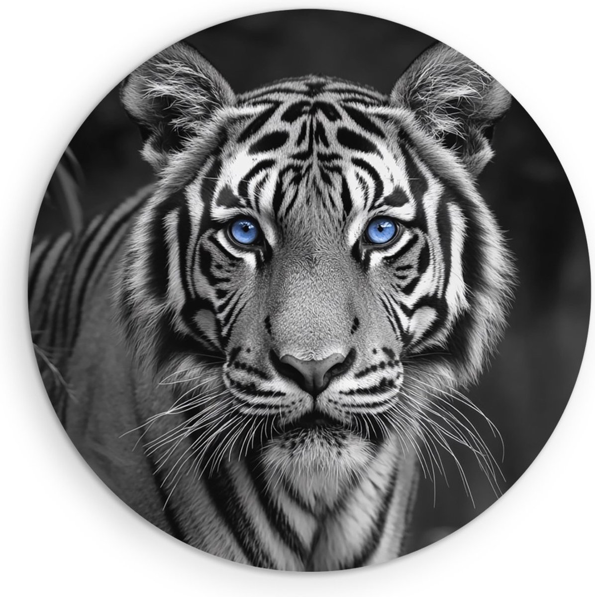 Saammp Muurcirkel Hout - Jonge tijger met blauwe ogen - Natuur - Dieren - Ø 70 - Wandcirkel - Wanddecoratie Cirkel - muurdecoratie Woonkamer - Slaapkamer decoratie - Rond Schilderij