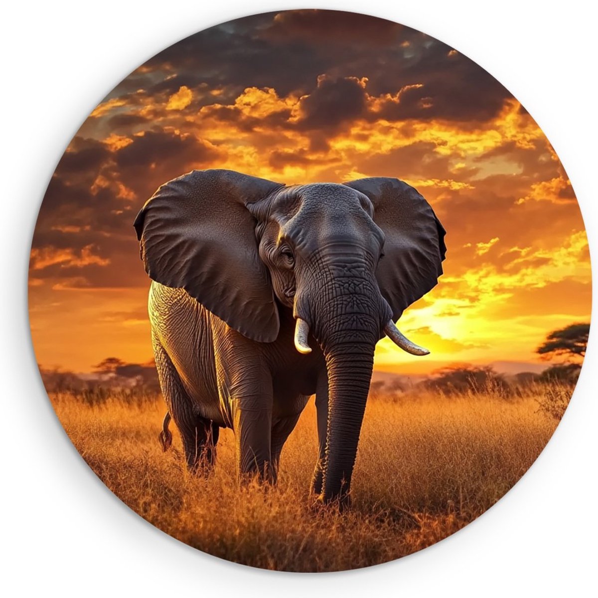 Saammp Muurcirkel Hout - Olifant in Savanne - Afrika - Dieren - Ø 70 - Wandcirkel - Wanddecoratie Cirkel - muurdecoratie Woonkamer - Slaapkamer decoratie - Rond Schilderij