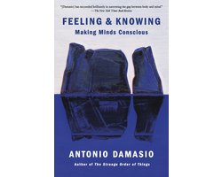 Omslag van Feeling & Knowing