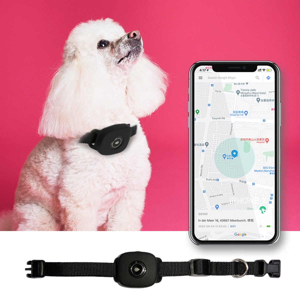 Bol.com Reptrek® Minitrek GPS Tracker Voor Hond En Kat - Zwart - 4.7 x 4.2 x 1.5 cm aanbieding