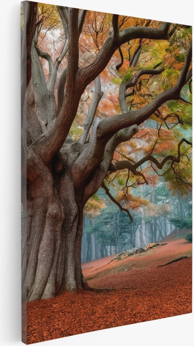 Saammp Canvas Schilderij - Bos tijdens de herfst - Landschap - Bloemen - Natuur - 30x45 - Foto op canvas - Wanddecoratie - Muurdecoratie Woonkamer - Slaapkamer decoratie - Canvas Print Multicolor
