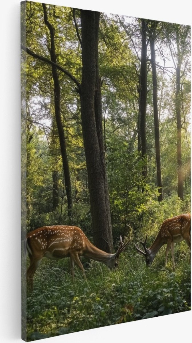 Saammp Canvas Schilderij - Natuur - 4 Herten in het bos - landschappen - 80x120 - Foto op canvas - Wanddecoratie - Muurdecoratie Woonkamer - Slaapkamer decoratie - Canvas Print Multicolor