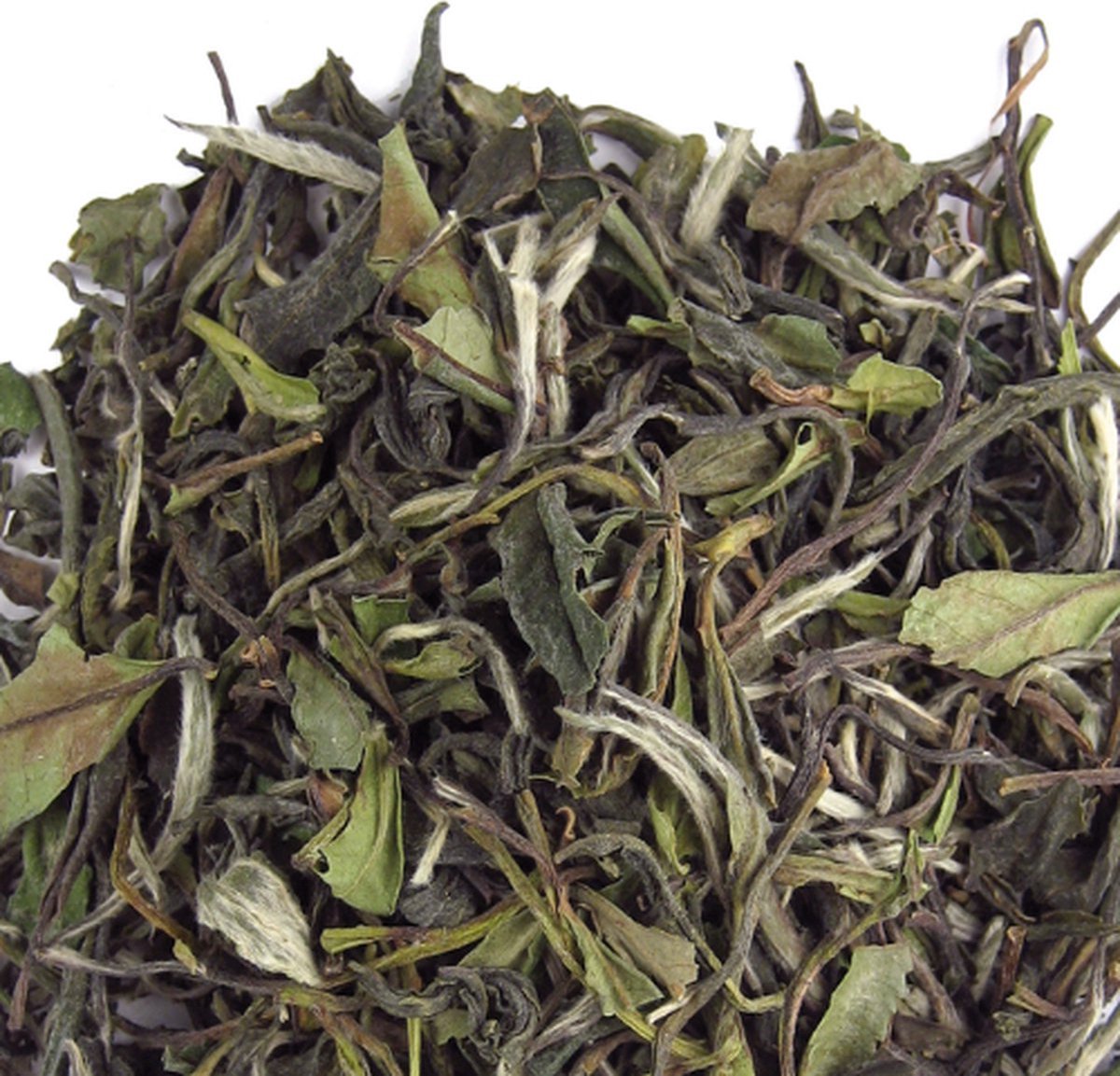 ZijTak - PaiMu Than - Witte thee - Pai Mu Than pure thee - 120 g