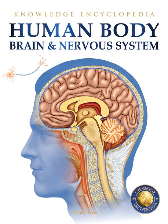 Human Body - Brain And Nervous System: Knowledge Encyclopedi ... - cover