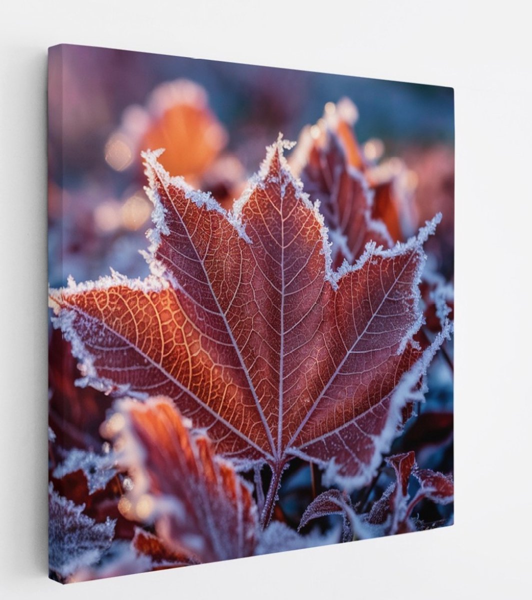 Saammp Canvas Schilderij - Bevroren Blad - Natuur - Abstract - 20x20 - Foto op canvas - Wanddecoratie - Muurdecoratie Woonkamer - Kantoor Decoratie Multicolor