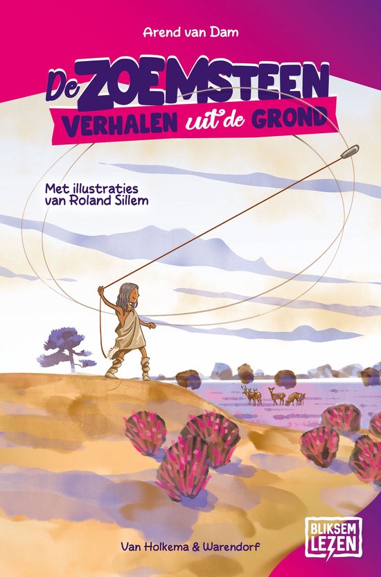 De zoemsteen - cover