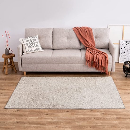 Tapijt Voor Woonkamer Vloerkleden 200 x 250 cm Zacht, Pluizig, Hoogpolig, Modern, Pluche, Antislip Pluizig Zacht Tapijt Vloerkleed Rechthoekig Voor