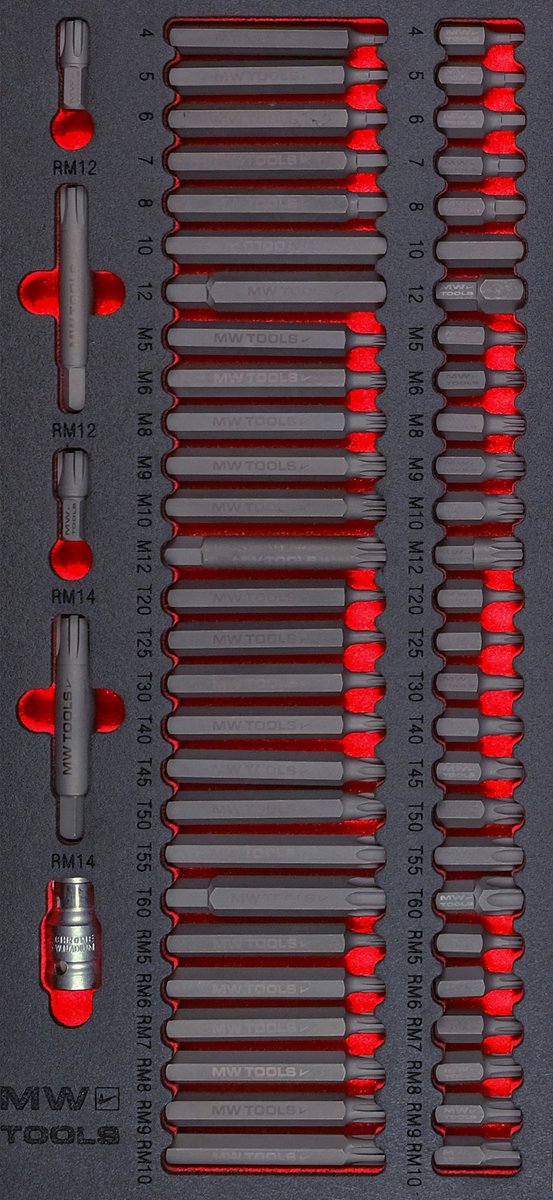 Bitsset in foam tray Ribe- Spline- HEX- TORX 59 delig MW Tools MWBIT59