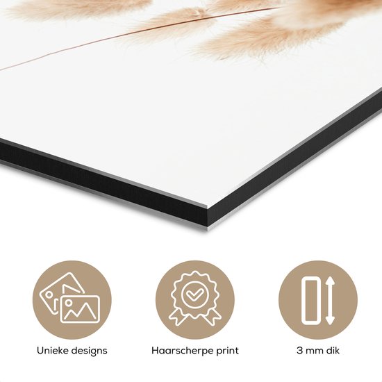 Tableau aluminium 60x90 cm - Décoration murale métal - Herbe de la pampa - Plume - Wit - Beige - Décoration murale métal salon - Décoration industrielle - Photo sur dibond - Accessoires industriels chambre