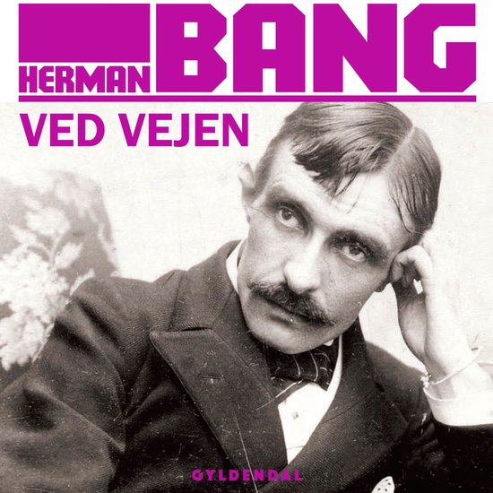 Ved vejen - cover